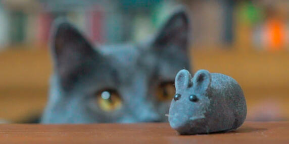 Echte Katze die über eine Tischkante auf eine Spielmaus schaut